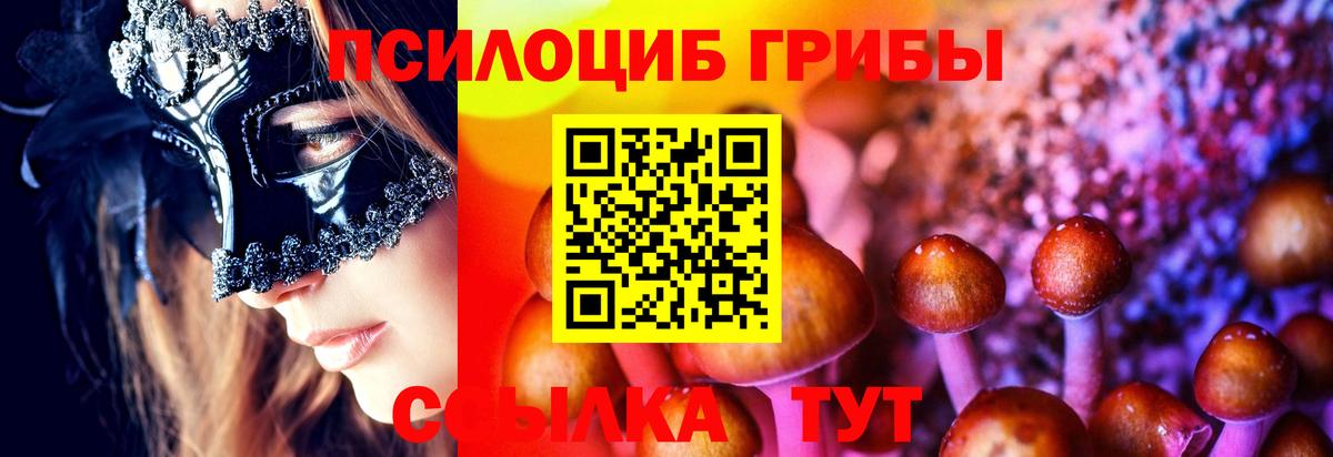 Псилоцибиновые грибы мухоморы Северобайкальск