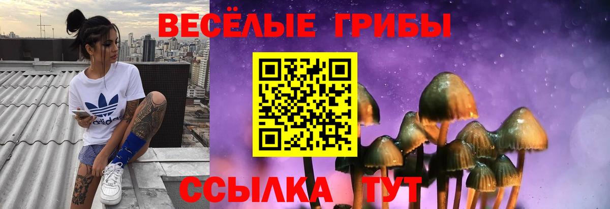 Галлюциногенные грибы MAGIC MUSHROOMS  Псилоцибиновые грибы мухоморы  Северобайкальск  Вход с VPN 